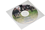 dvd in clear plastic wallets